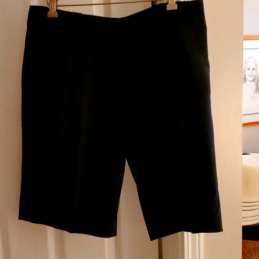 Nike dry fit shorts